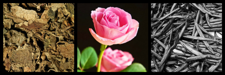 a que huele flowerbomb