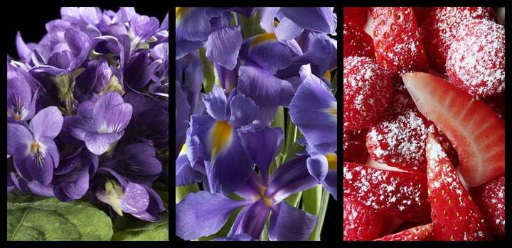 notas y aromas del perfume
