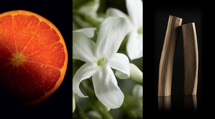 notas aromáticas del perfume