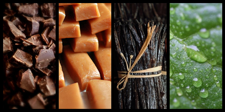 notas aromáticas