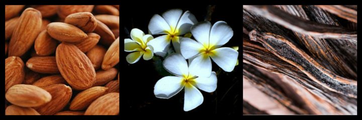 notas aromaticas