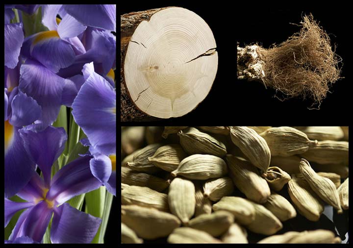 notas del perfume