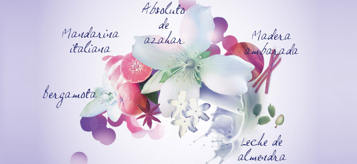 notas aromáticas
