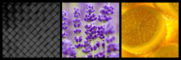 notas aromaticas