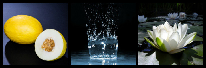 olor l'eau d'issey